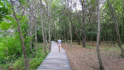 Besucherweg im Park