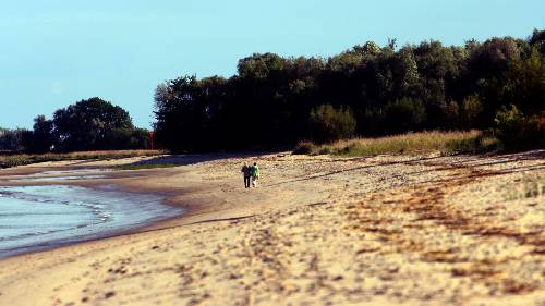 Strandspaziergang an der Elbe