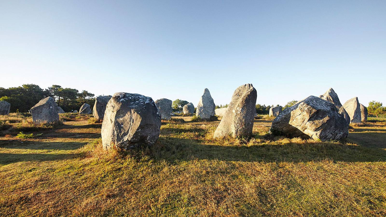 Steinfelder von Carnac